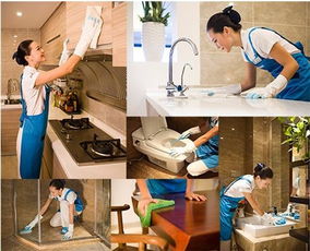 石碣開(kāi)荒保潔,石碣新居保潔,石碣別墅開(kāi)荒保潔等